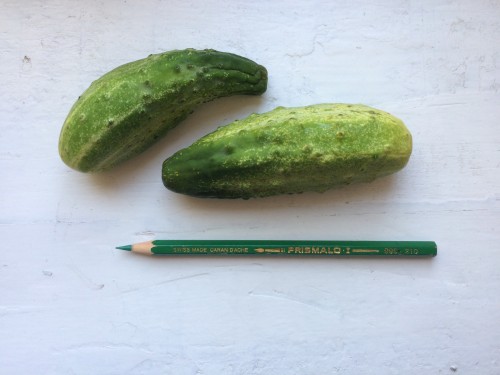 Green Watercolour Pencil
